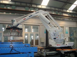 智慧农业新篇章 三农机械机器人码垛成套设备的技术革新与市场展望